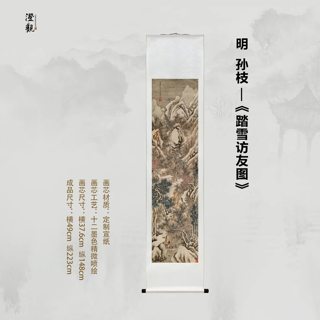 Visiting a Friend in Snow