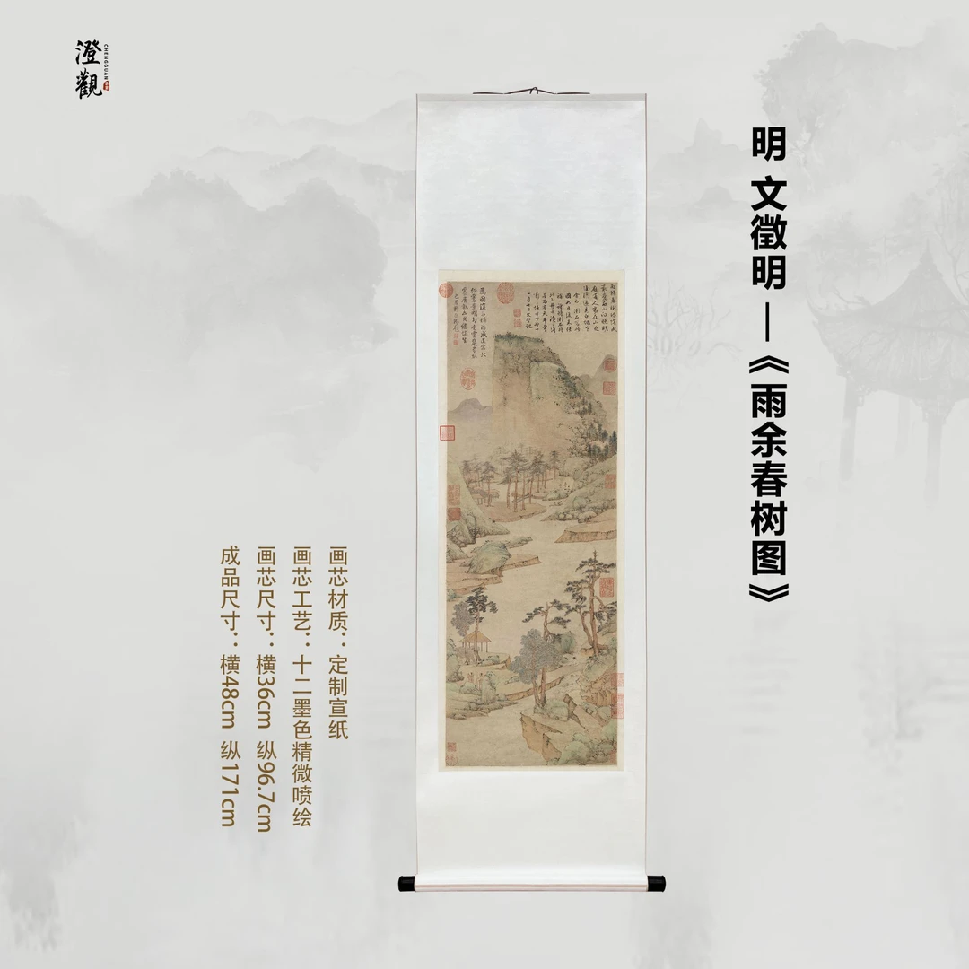 Spring Trees After Rain