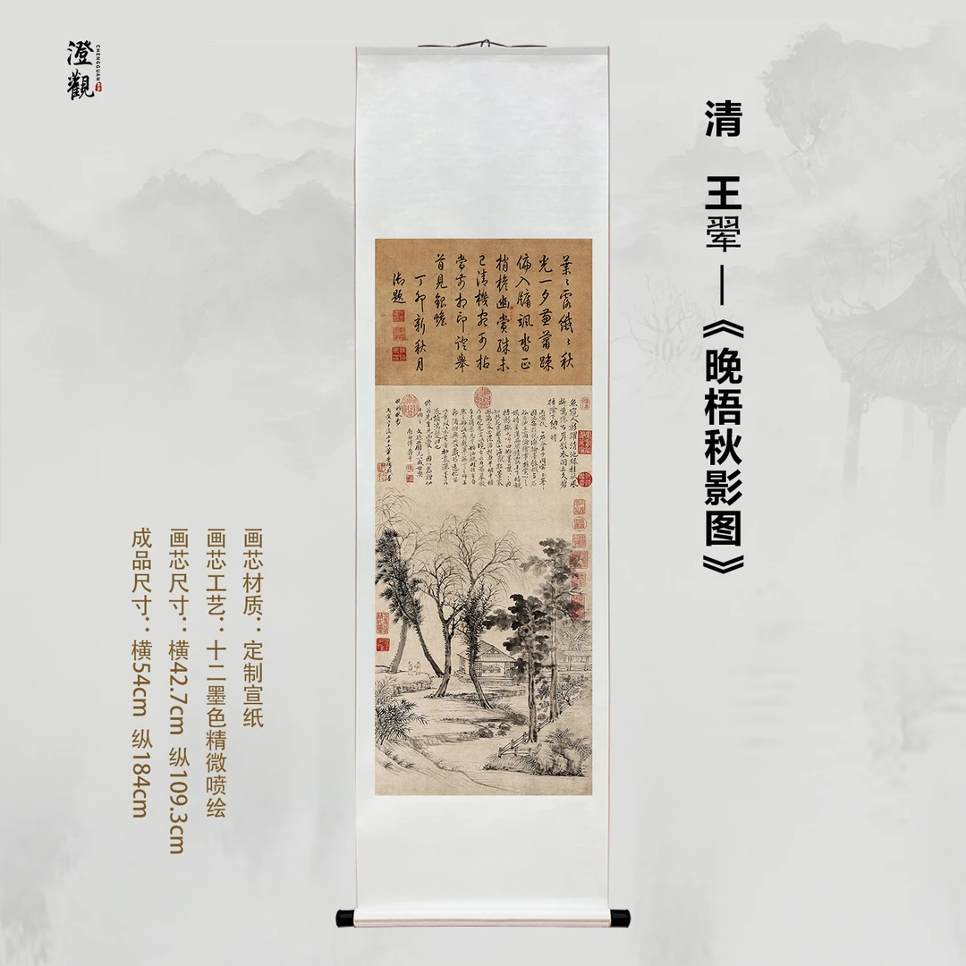 Autumn Shadows of Late Parasol Trees