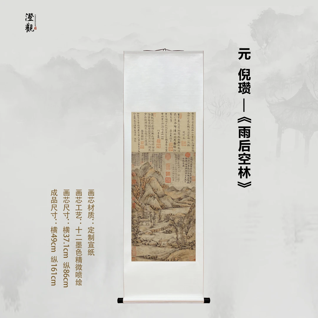 Empty Forest After Rain