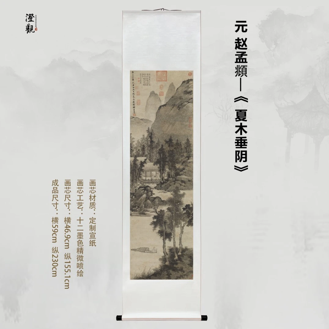 Summer Trees Hanging Over with Shade